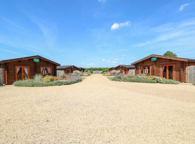A gravel driveway with wooden lodges and flowerbeds on either side at Beech Lodge in Greetham Rutland