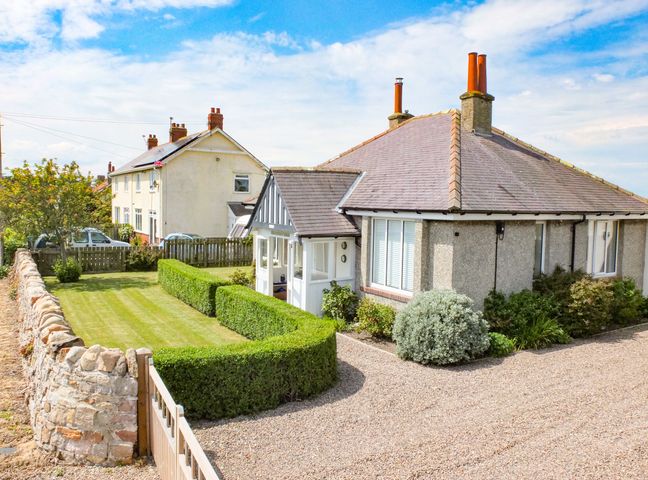 A bungalow with a gravel driveway and hedges surrounding a grass lawn at Rosemary Cottage in Beadnell