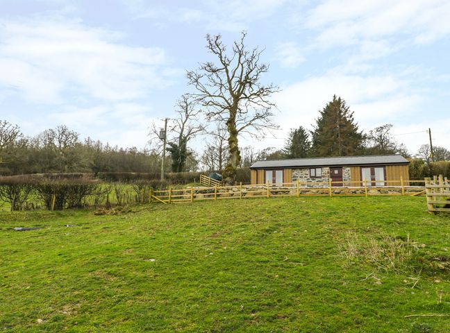 A stone and wood house with a fenced yard and trees on a grassy hill at Bothi in Llanuwchllyn
