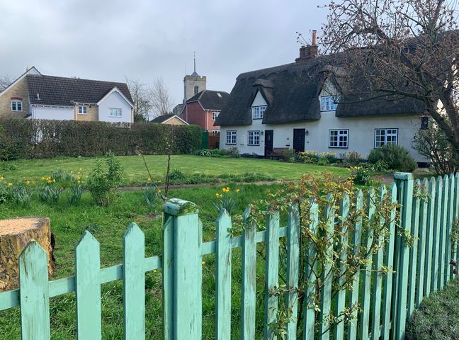 A house with a thatched roof behind a turquoise wooden fence with grass and flowers in the garden at Beaumont's Cottage in Foxton