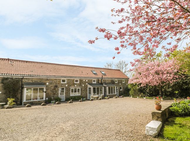 A stone building with a tiled roof surrounded by gravel and blooming trees at Robin Cottage Morpeth