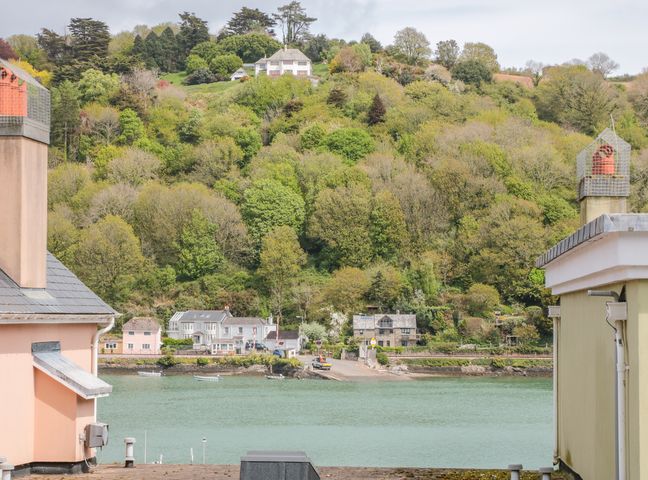 A river view with houses and trees on the opposite bank at 41 Dart Marina in Dartmouth