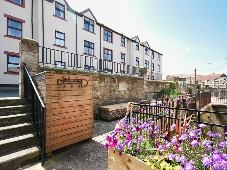 Farne Lookout | Seahouses | Northumbria | Self Catering Holiday Cottage