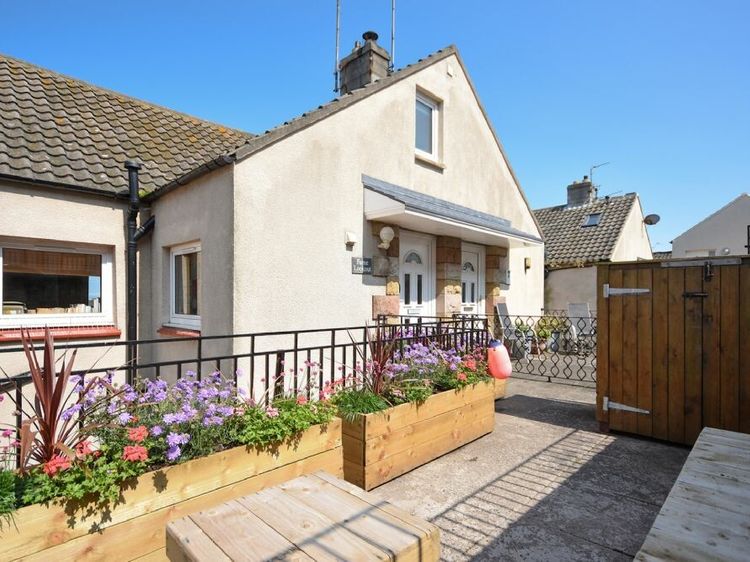 Farne Lookout | Seahouses | Northumbria | Self Catering Holiday Cottage