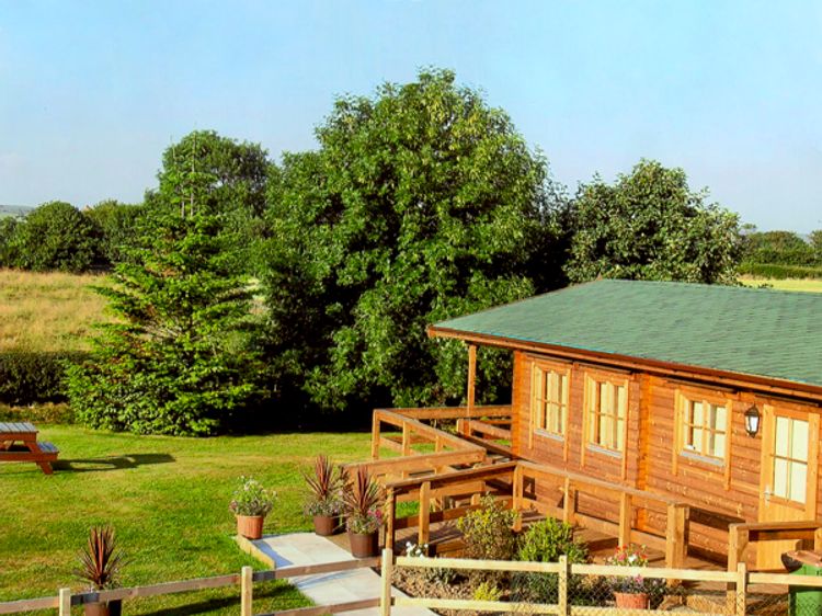 Dog friendly log hot sale cabins yorkshire coast