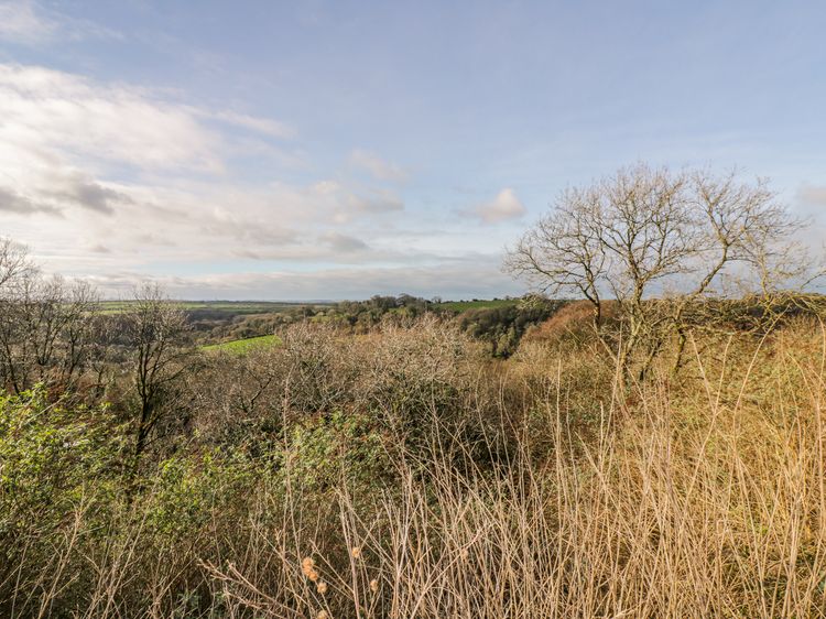 Tor Down Quarry