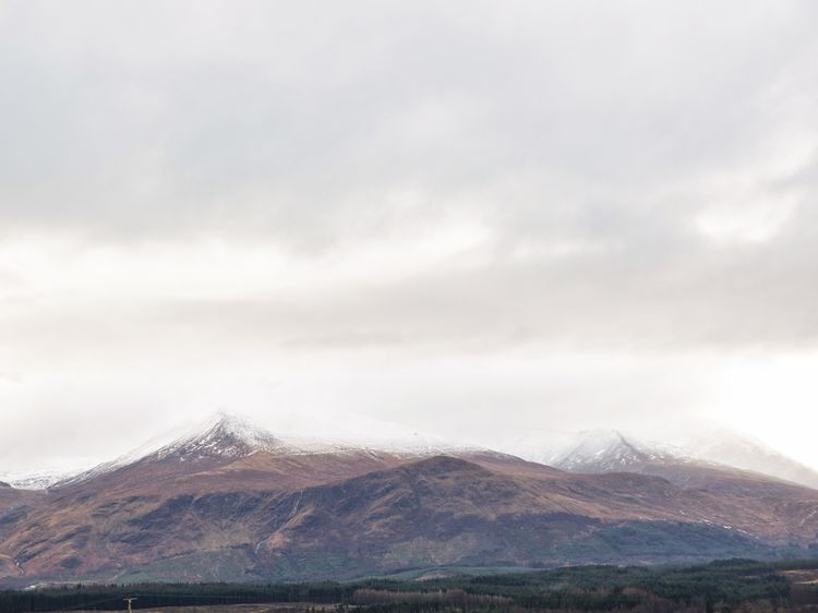 2 Places to Spot a Highland Cow Near Spean Bridge - Distant Hills Guest  House