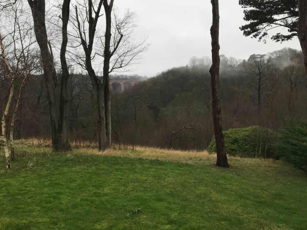 A view of trees and a hill with a viaduct at Daffodil Lodge in Saltburn-by-the-Sea