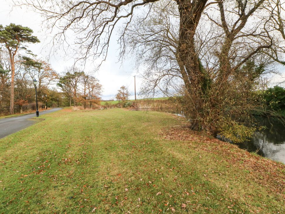 A grassy area with a tree and water nearby at Daffodil Lodge Saltburn-by-the-Sea