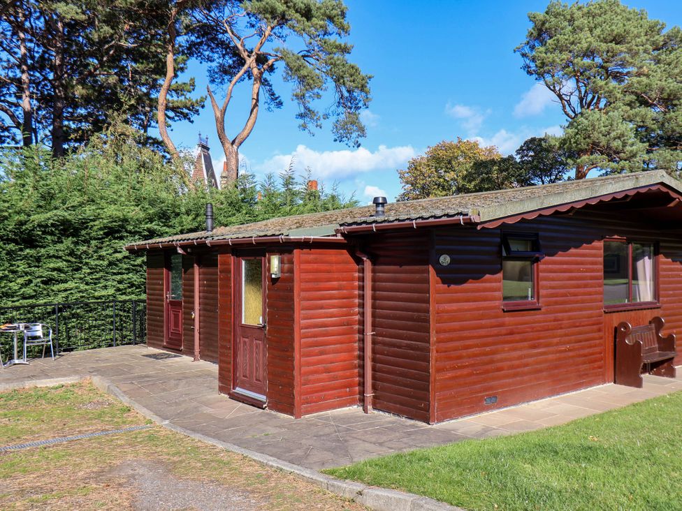 A wooden cabin surrounded by trees at Orchid Lodge in Saltburn-by-the-Sea
