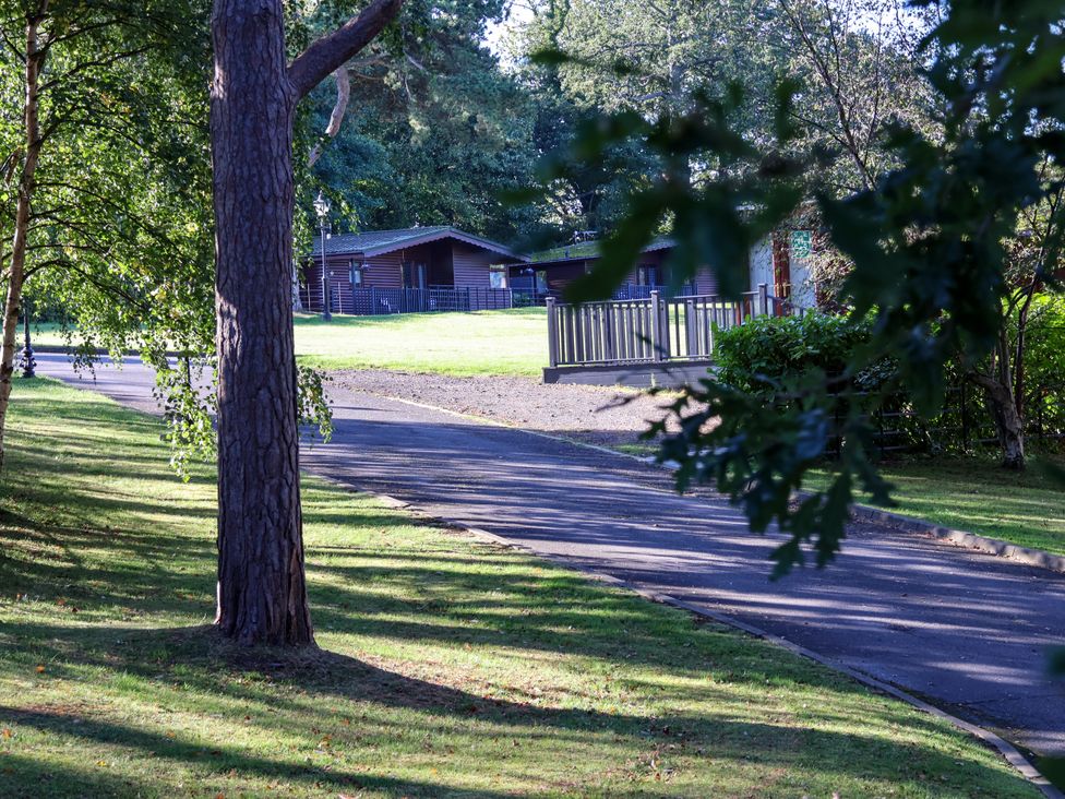 A view of cabins with a road and trees at Foxglove Lodge in Saltburn-By-The-Sea