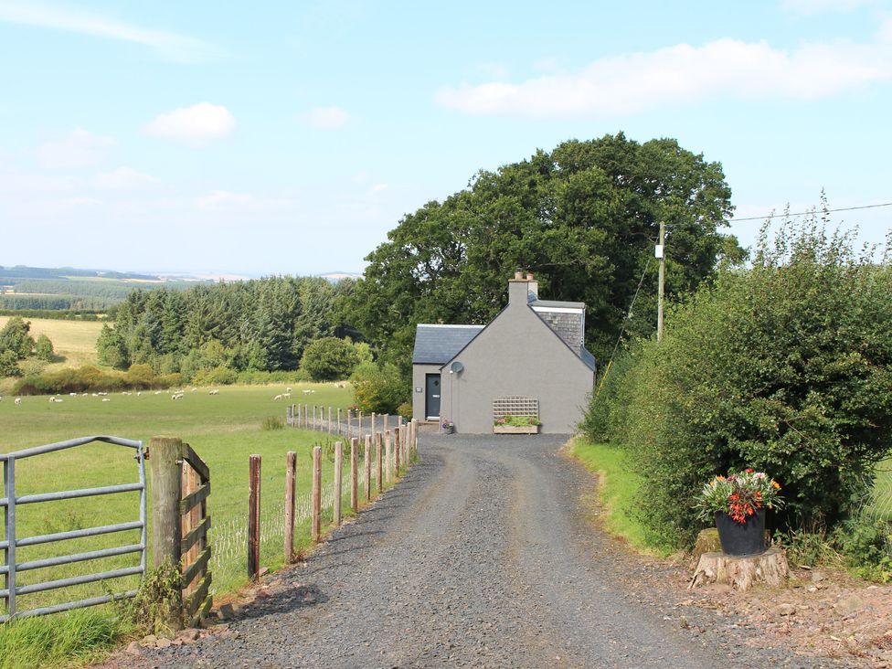 Birds Nest - Scottish Lowlands - 1000459 - thumbnail photo 2