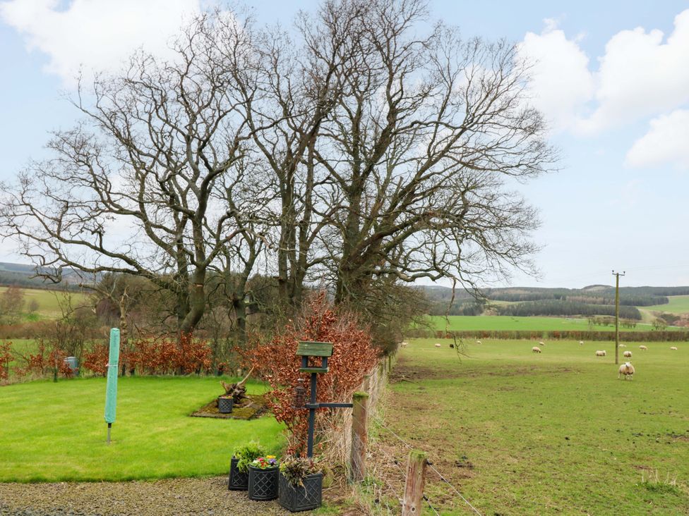 An outdoor view with trees, sheep in a field, and a garden area at Birds Nest in Jedburgh