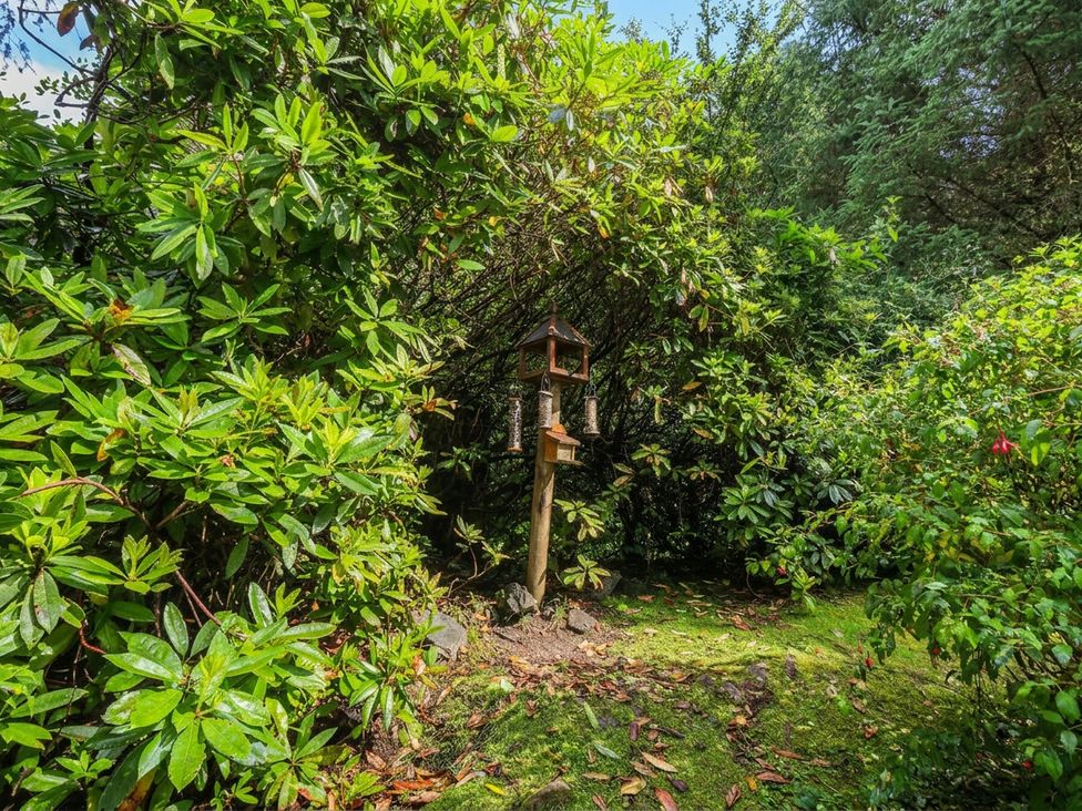 A garden with a bird feeder surrounded by bushes at Clearwater House Roshven near Glenuig