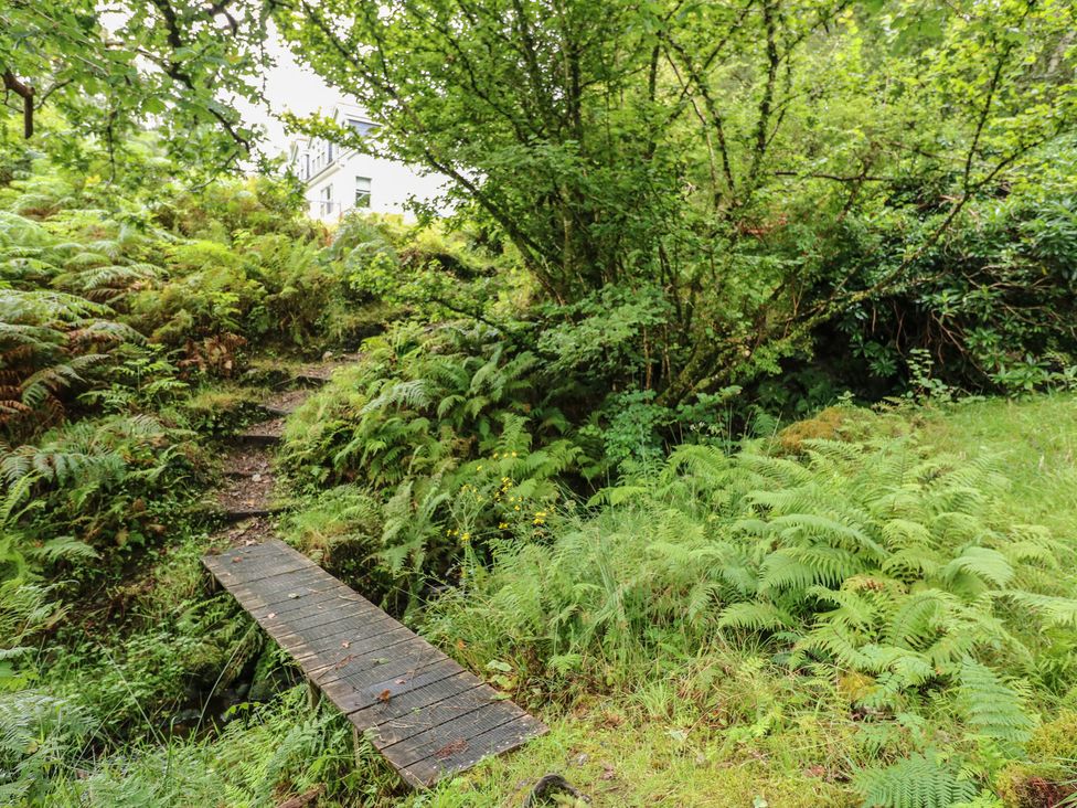 A wooden bridge crossing a path surrounded by ferns and trees at Clearwater House in Roshven near Glenuig