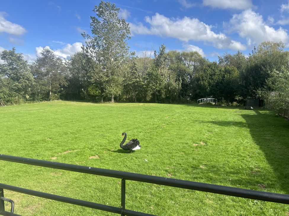 A swan in a grassy field with trees and a bridge at Moor End Manor Stalmine