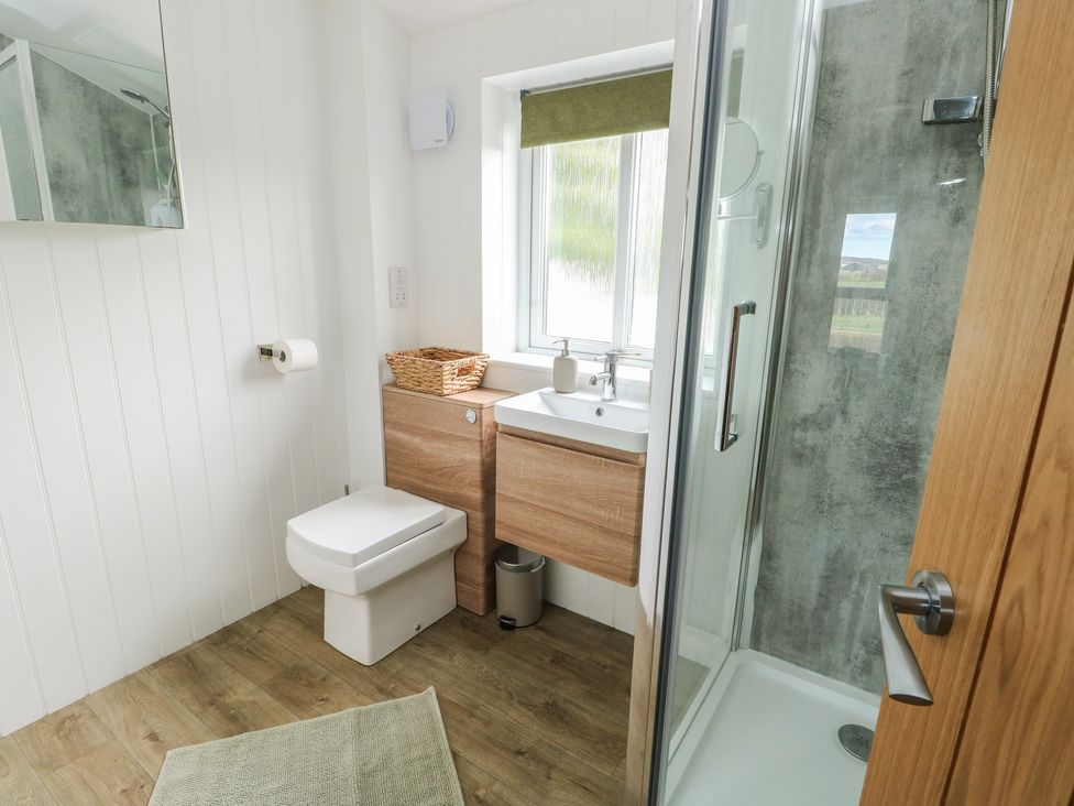 A bathroom with a toilet and shower at Bwthyn in Moelfre