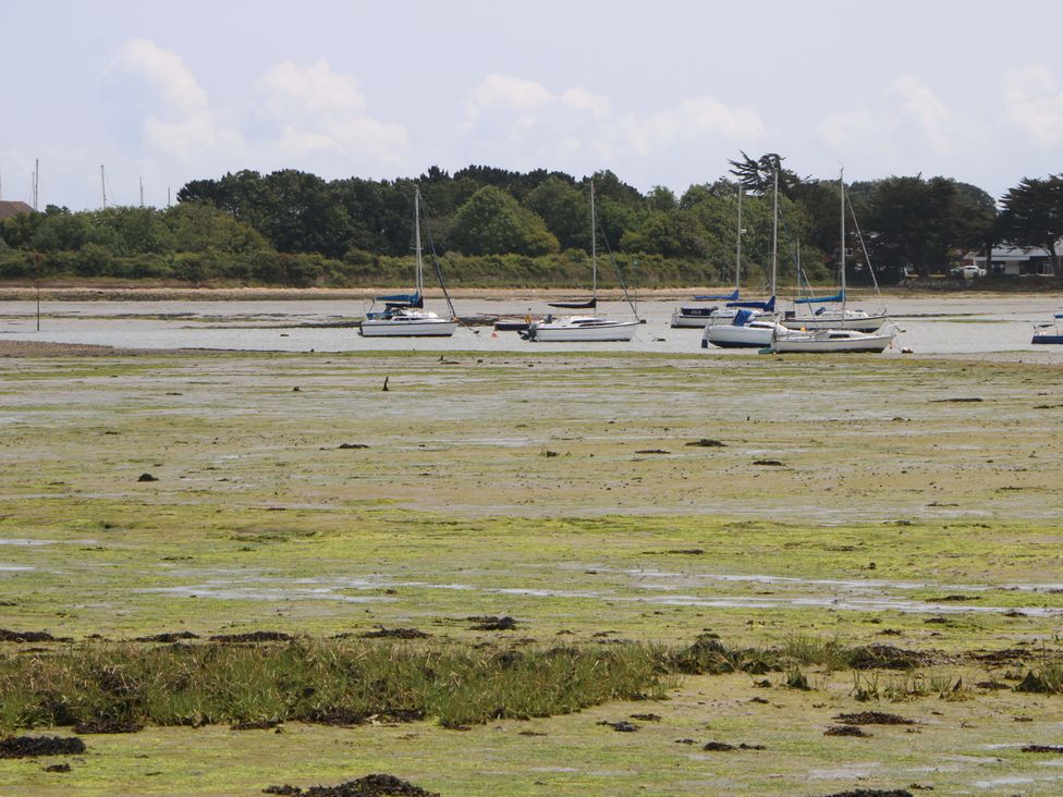 Boats on water with algae in the foreground at 2A The Mews in Langstone