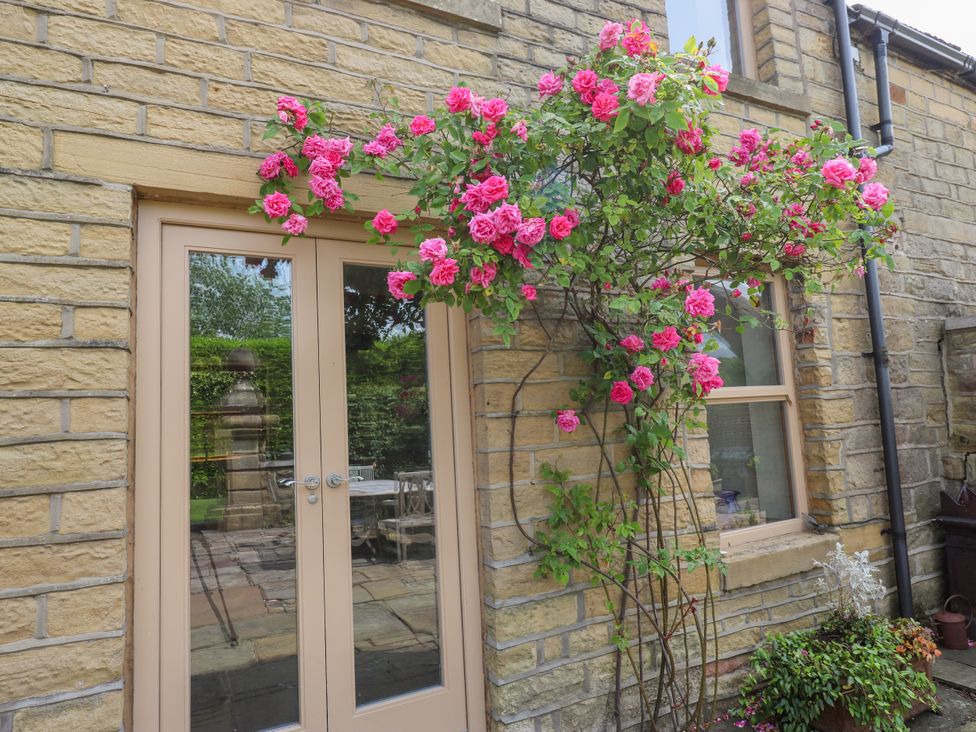 A door and window with a plant beside at Woodbottom Farm in Meltham