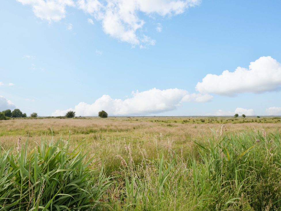 A landscape with grass and trees under a blue sky at Breydon Cottage in Bradwell near Gorleston-On-Sea