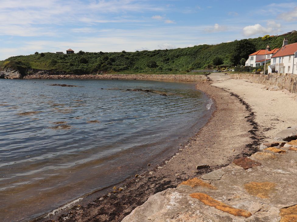 A beach with trees and houses at Maimie’s Harbourview Pittenweem near Anstruther