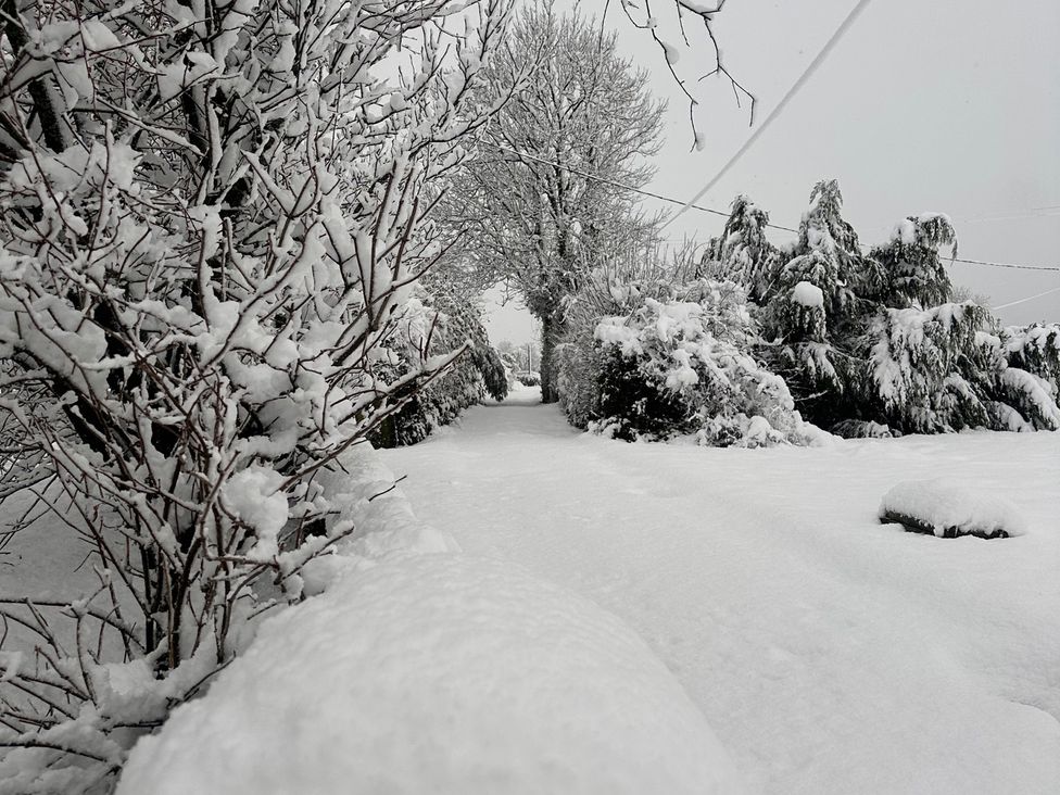 A snowy pathway with trees and bushes at Dairy Cottage Tavernspite near Narberth