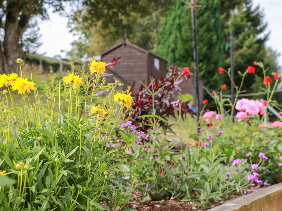 A garden with various flowers and a shed at Simply Suite in Castle Douglas