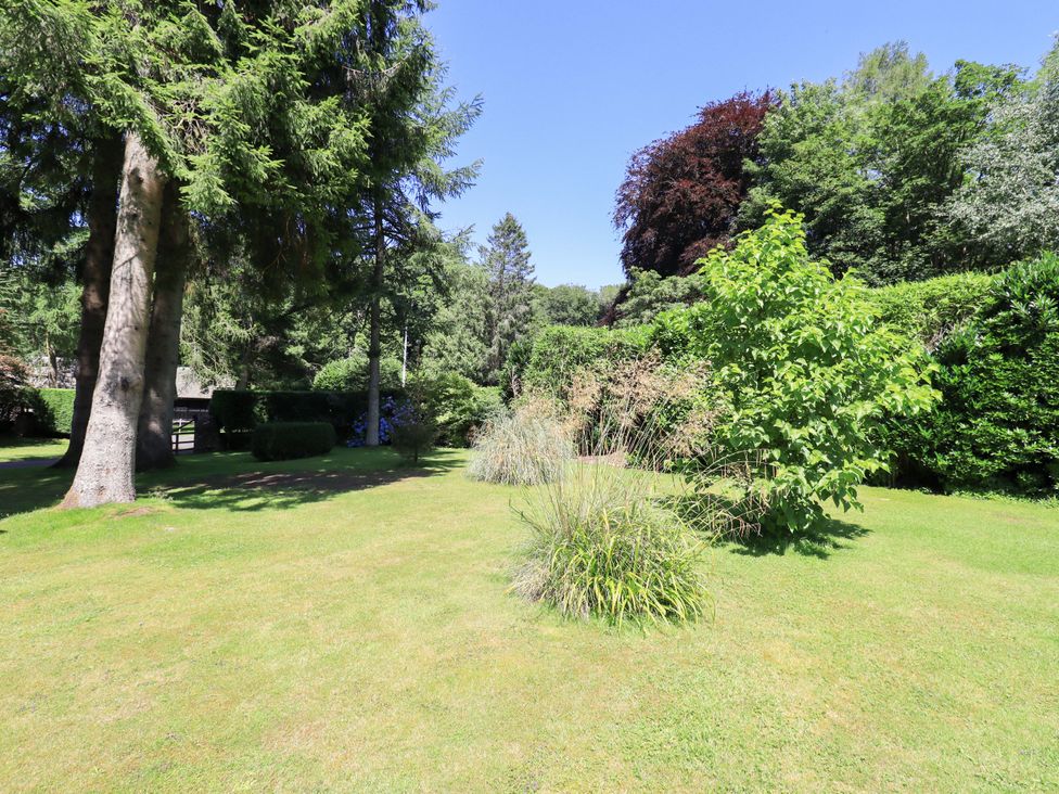 A garden with trees and shrubs at Lakeside Cottage Ecclerigg near Ambleside
