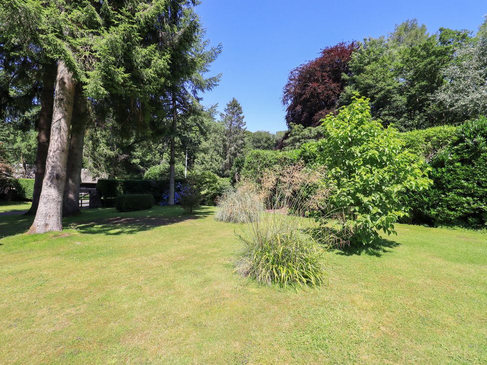 A garden with trees and plants at Waterhead Cottage in Ecclerigg, near Troutbeck Bridge