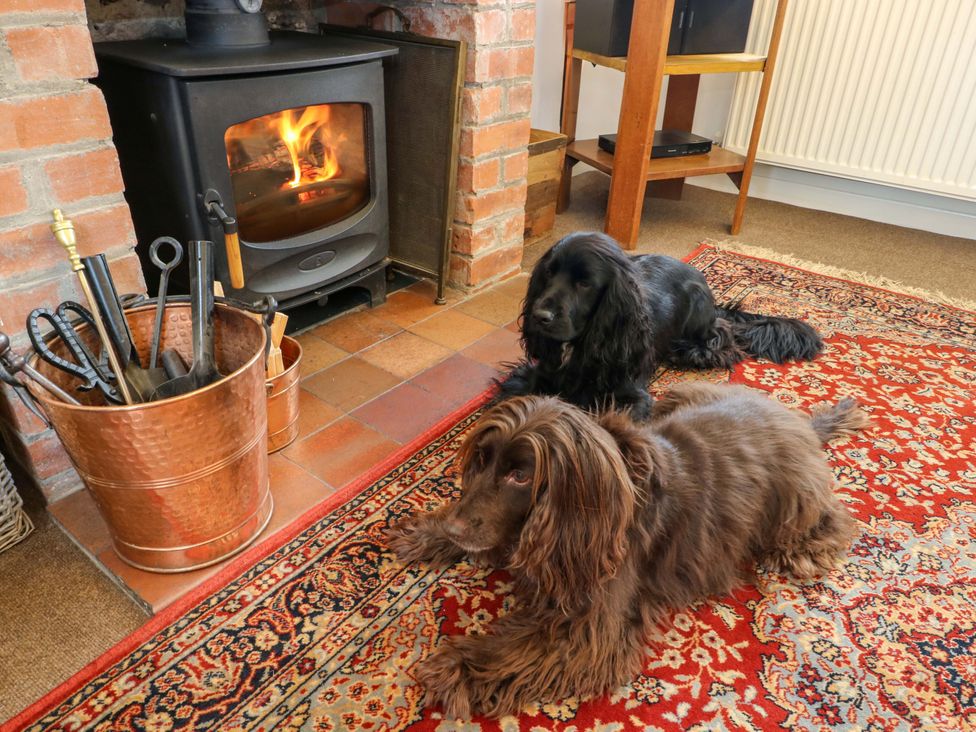 A living room with a wood stove and two dogs at Ael Y Bryn in Menai Bridge