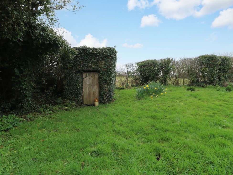 A wooden door in a grassy area with flowers at Ael Y Bryn in Menai Bridge