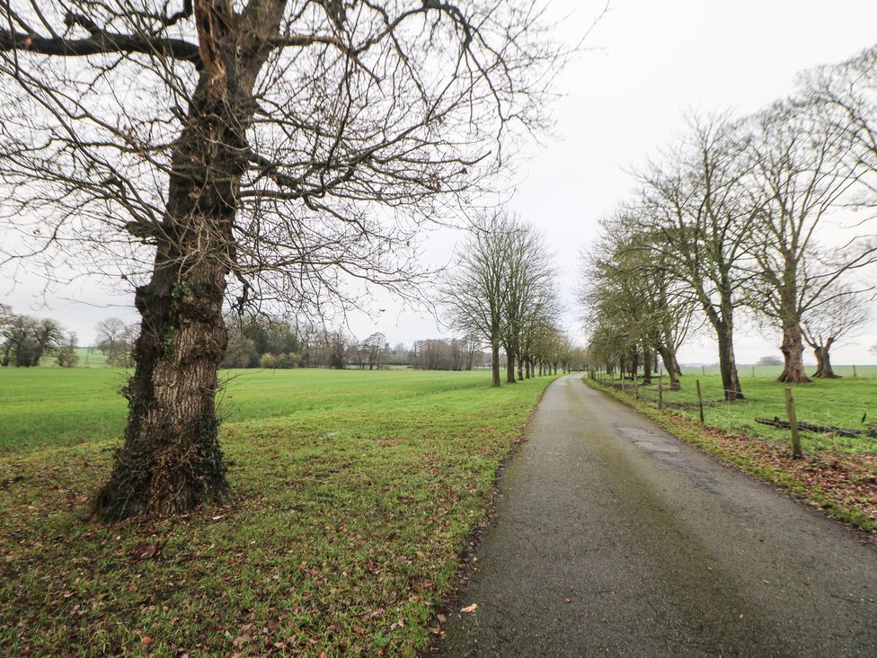 A road lined with trees in a field at South Lodge - Longford Hall Farm Holiday Cottages Longford near Ashbourne