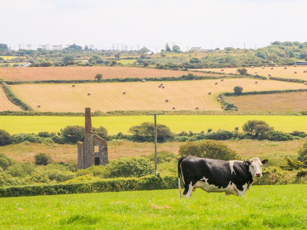 The Old Cows House - Cornwall - 1008677 - thumbnail photo 20