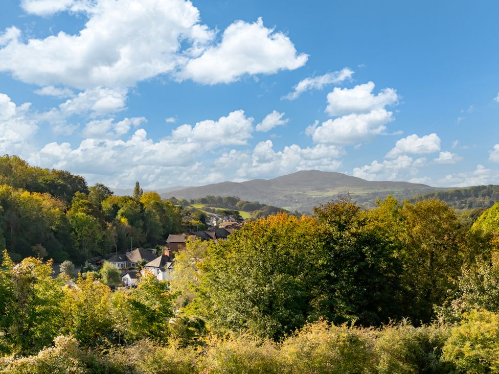 A view of trees and houses with mountains in the background at Coed y Felin in Conwy