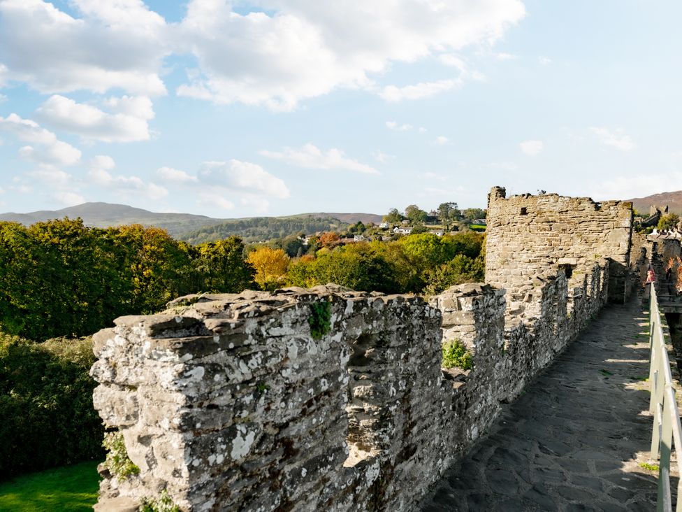 Coed y Felin - North Wales - 1008784 - thumbnail photo 43