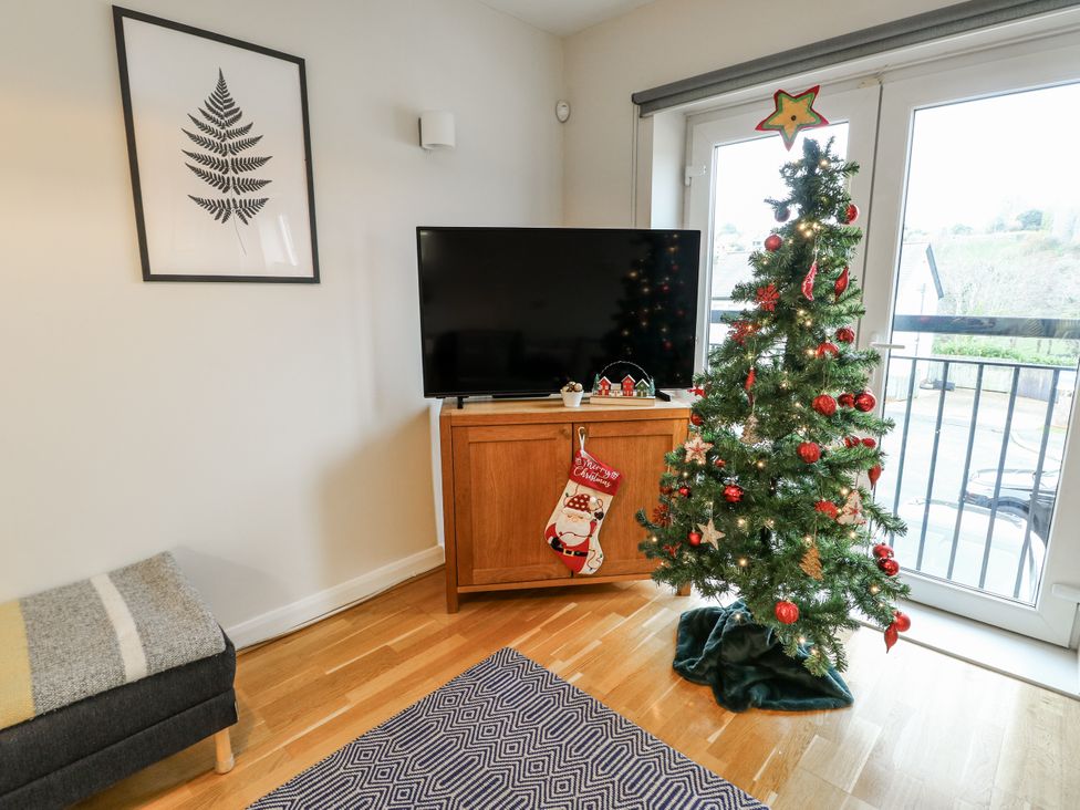 A living room with a television and a Christmas tree at Coed y Felin in Conwy
