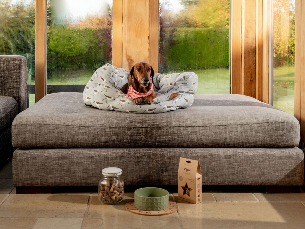 A dog on a cushion with a treat jar and food bowl at Summerfield in Deganwy