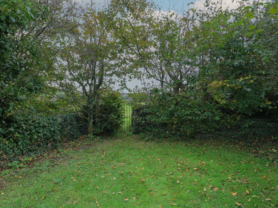 A garden area with a gate and trees at Tyn y Mynydd Bull Bay
