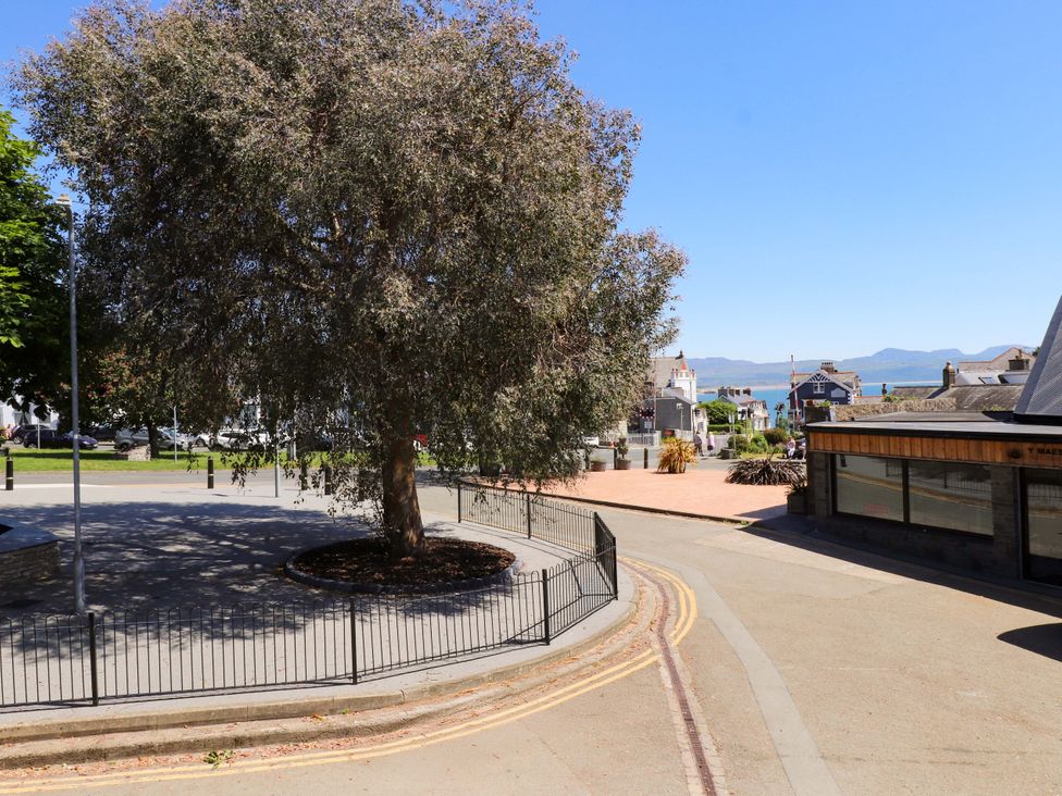 A street view with a large tree in a fenced area and buildings in the background at Y Stabl in Criccieth