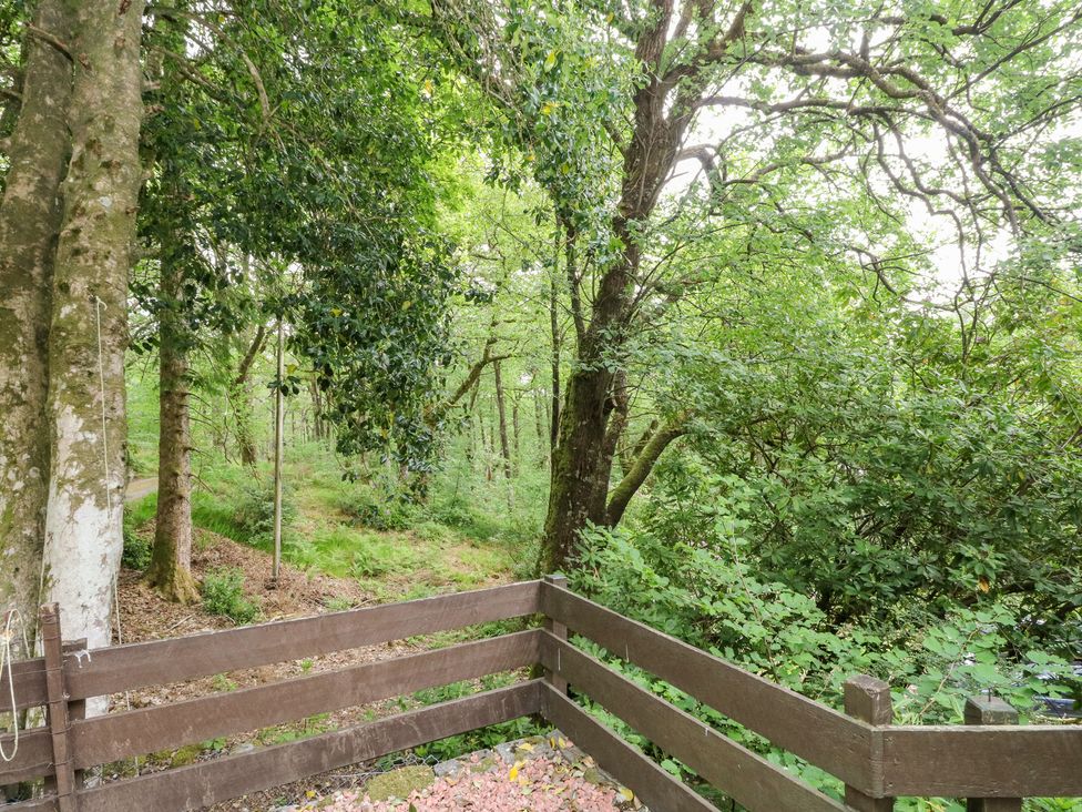 A forest scene with trees and a wooden fence at Tower Lodge Lochawe