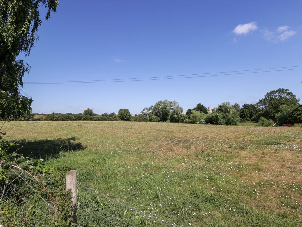 A field with trees and a fence at Ivy Cottage in Woolverton near Beckington