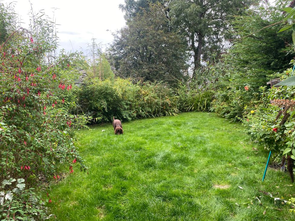 A garden with a dog on grass at Gowanlea Bellingham