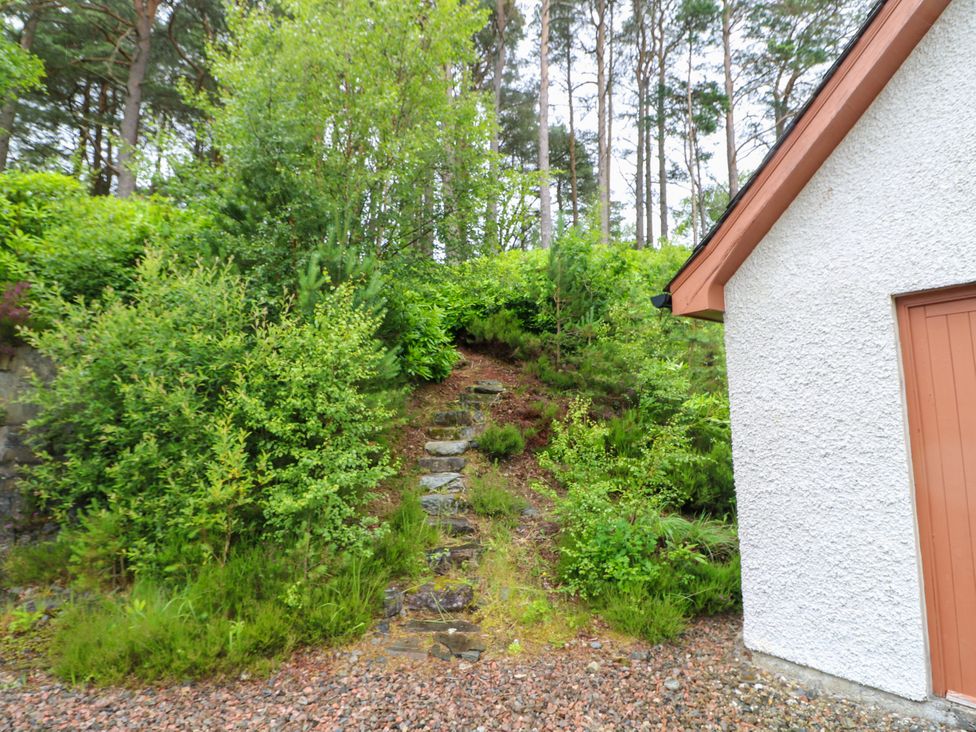 Steps leading up to a hillside with bushes and trees at Thistle Do Lochailort