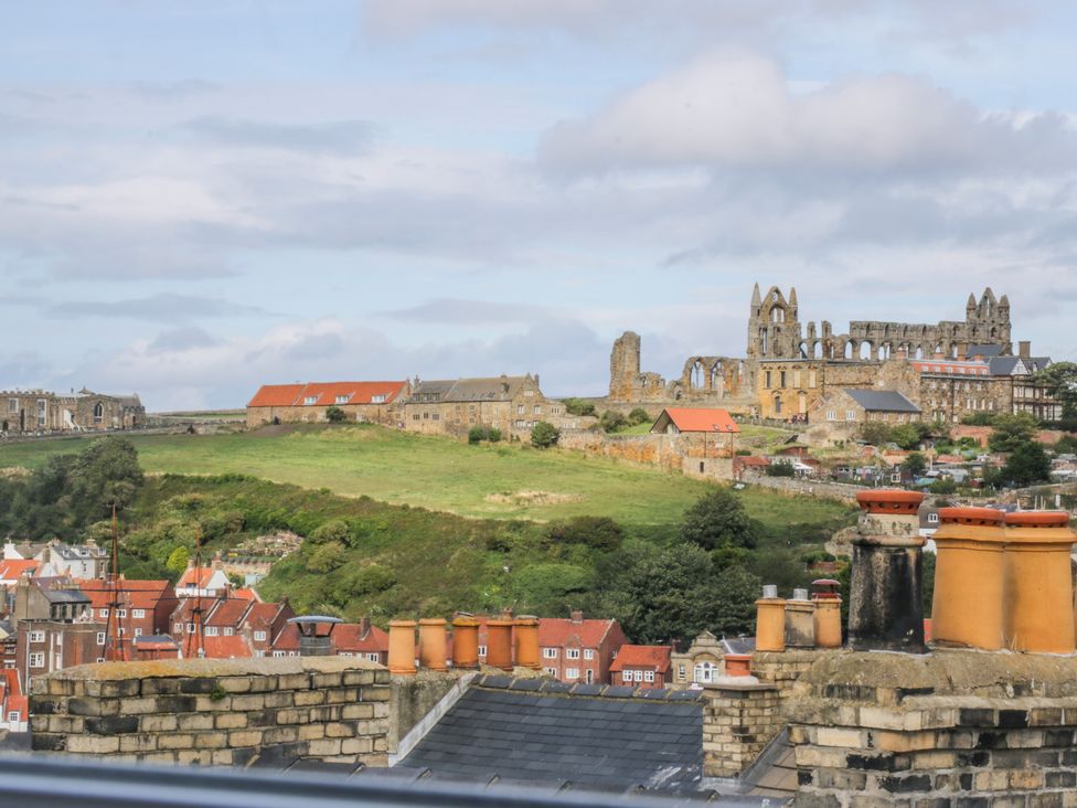 Salty Fox - North Yorkshire (incl. Whitby) - 1011163 - thumbnail photo 44