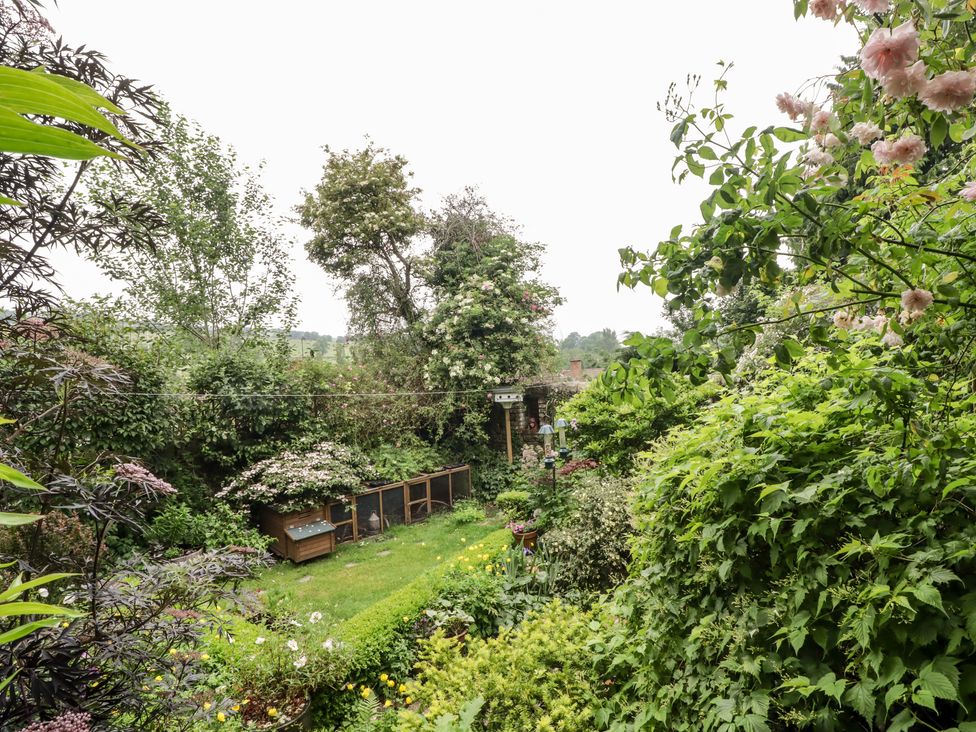 Garden View - Herefordshire - 1011538 - thumbnail photo 24