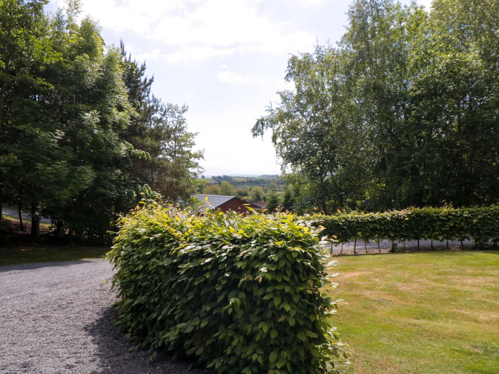 A view of trees and bushes from a pathway at Ryedale Country Lodges - Willow Lodge Kirkbymoorside
