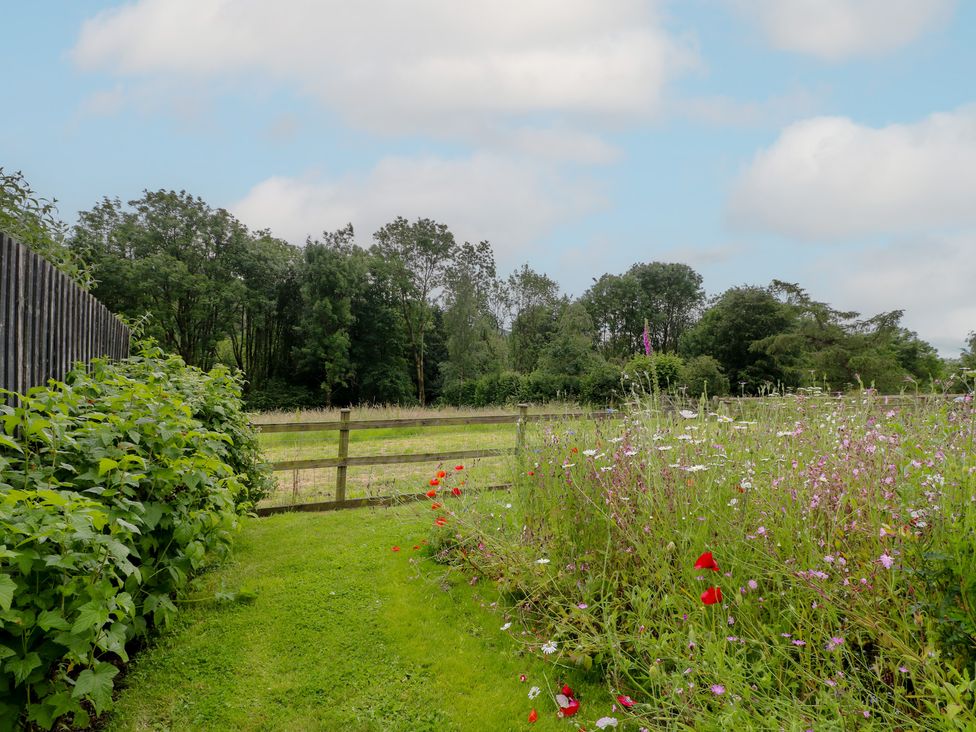 A garden with a path surrounded by flowers at Ivet Lowe in Hopton near Wirksworth