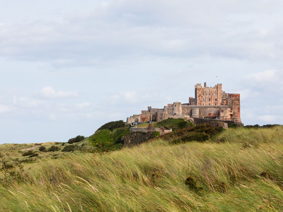 A castle on a hill surrounded by grass at Betony in Bamburgh