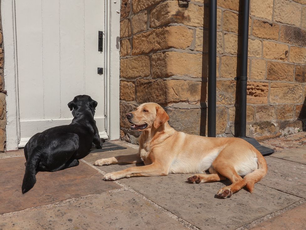 Two dogs resting by a door at Webstone House in Thimbleby near Osmotherley