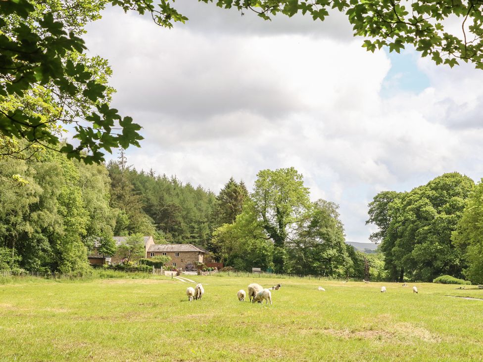 Spens Farm Cottage - Lake District - 1012502 - thumbnail photo 24